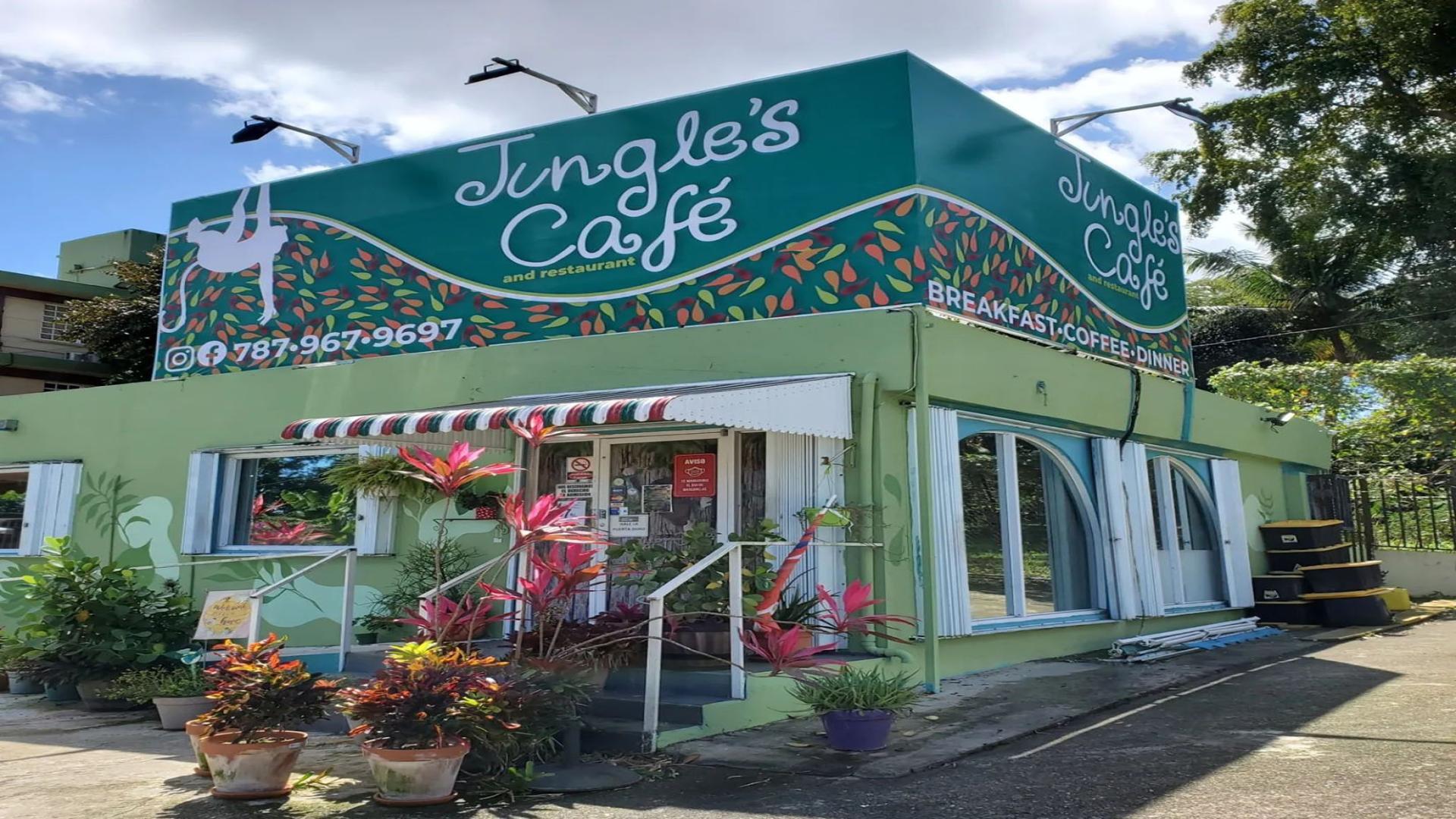 Imagen de Jungle's Cafe & Restaurant 